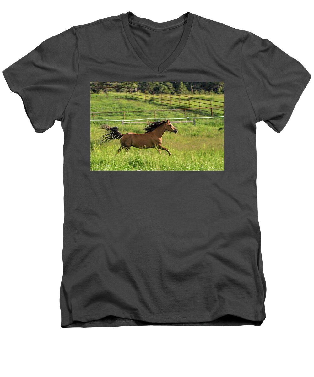 Equine Men's V-Neck T-Shirt featuring the photograph Run Romeo by Alana Thrower