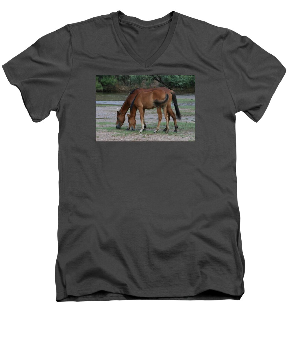 Wild Men's V-Neck T-Shirt featuring the photograph Saguaro Wild 2 by Grant Washburn