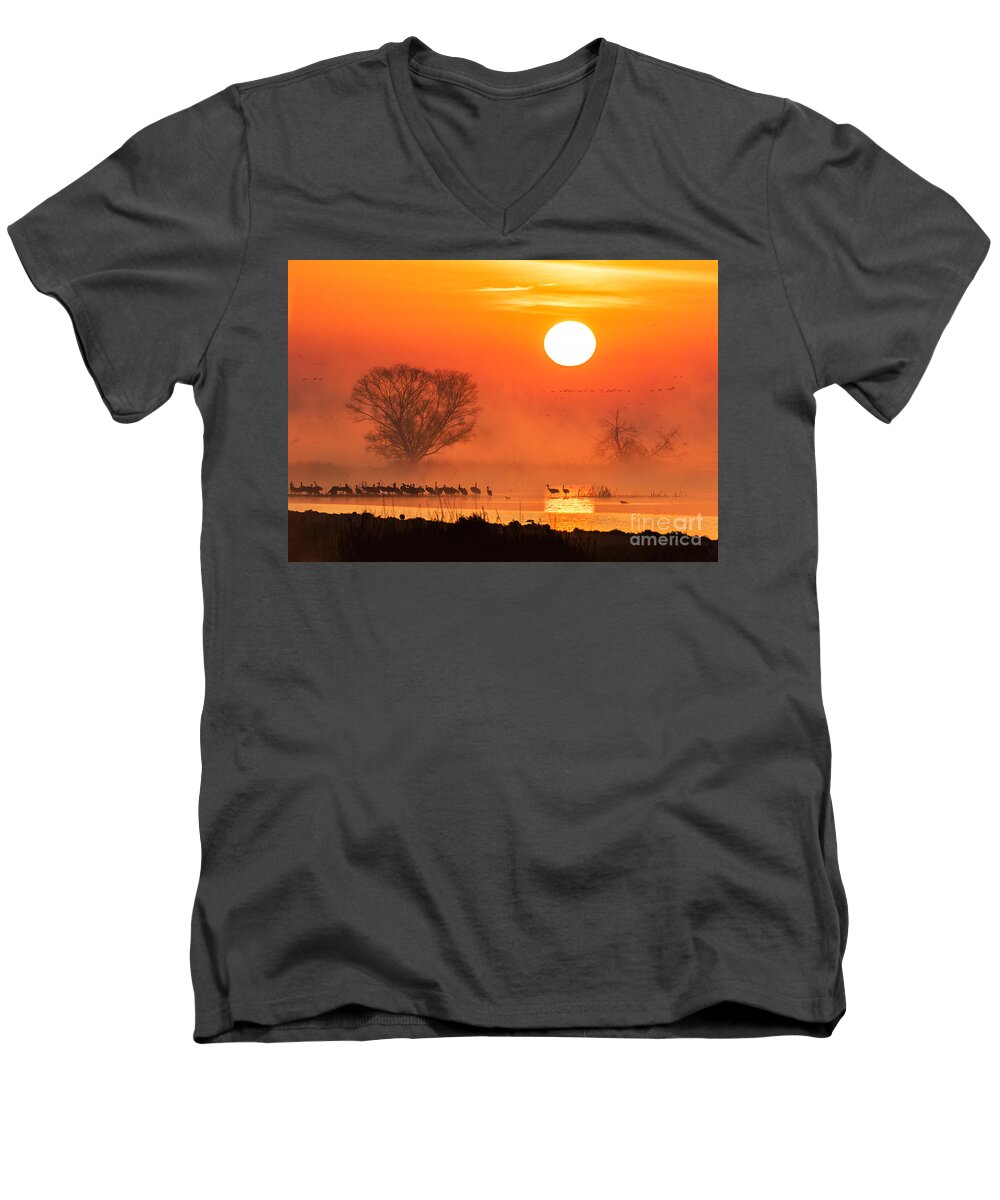 Sunrise Men's V-Neck T-Shirt featuring the photograph Sandhill Cranes In The Misty Sunrise by Mimi Ditchie