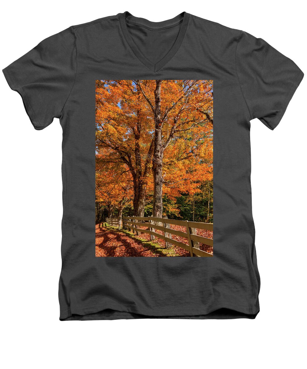 Sandwich Men's V-Neck T-Shirt featuring the photograph Sandwich Autumn by White Mountain Images