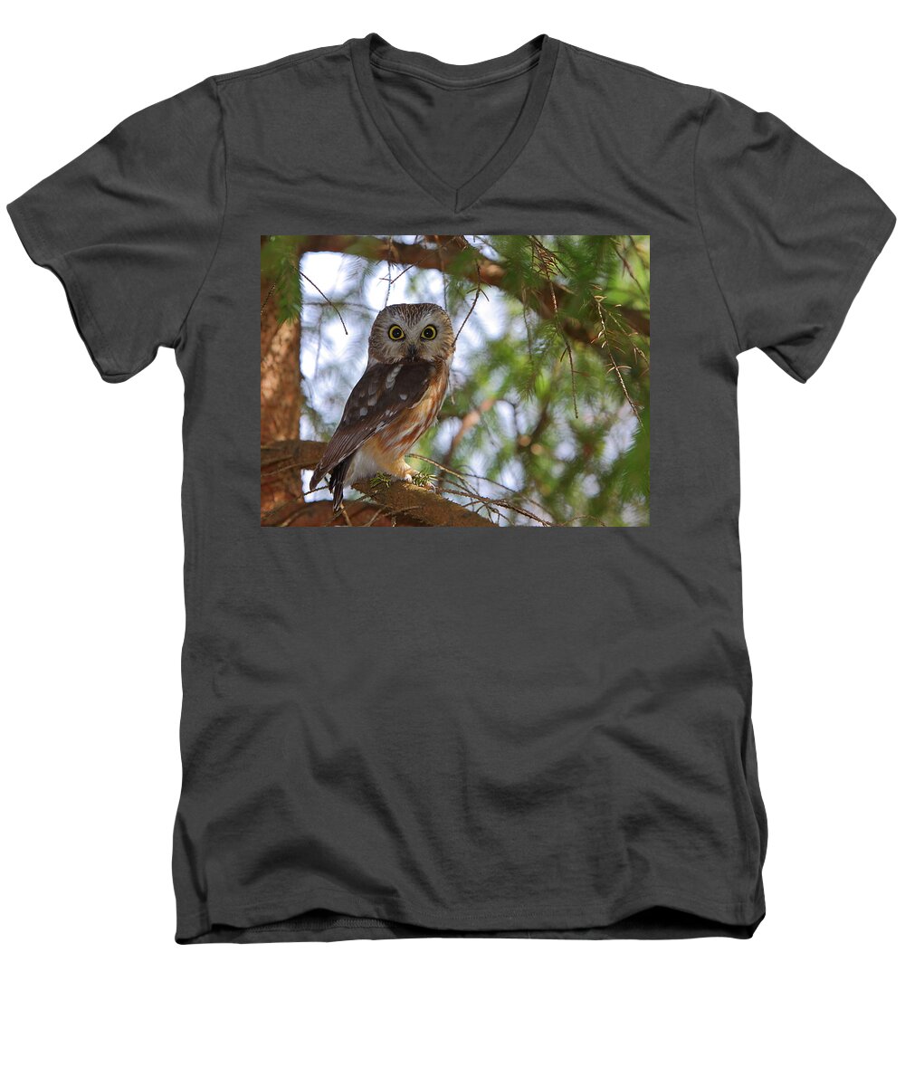 Owl Men's V-Neck T-Shirt featuring the photograph Saw-whet Owl by Bruce J Robinson