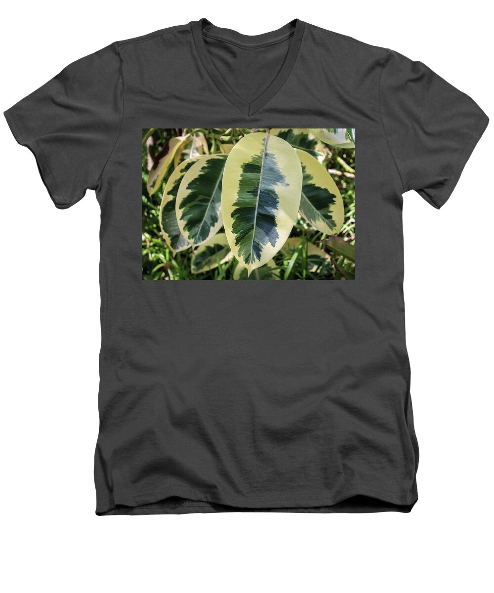 Large Leaf Men's V-Neck T-Shirt featuring the photograph Scribble Scrabble by Alison Frank