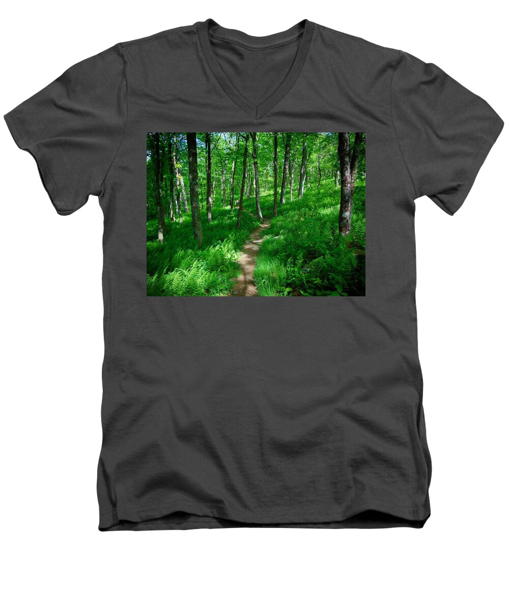 Nature Men's V-Neck T-Shirt featuring the photograph Sea of Ferns by Richie Parks