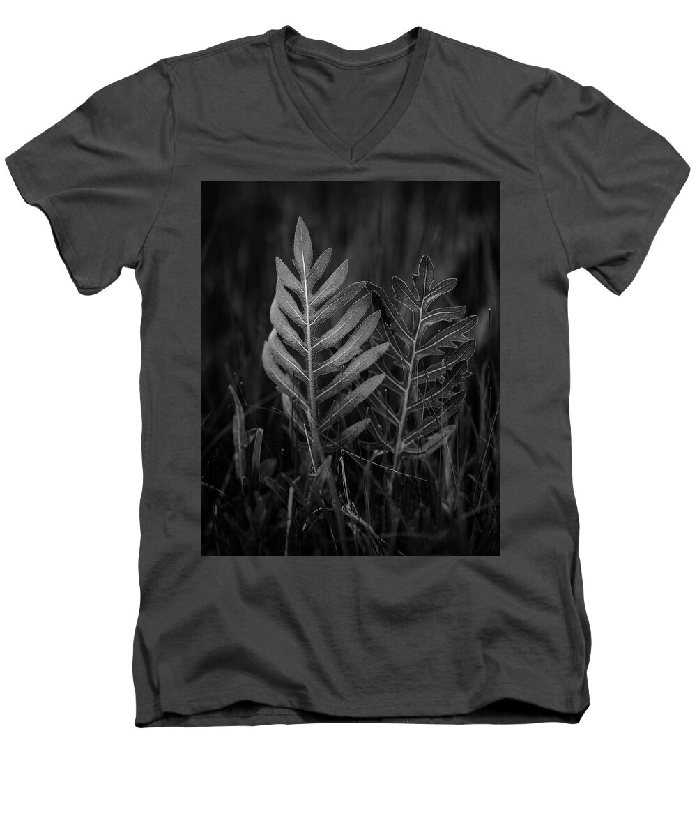 Plant Men's V-Neck T-Shirt featuring the photograph Sensitive Fern by Jeff Phillippi