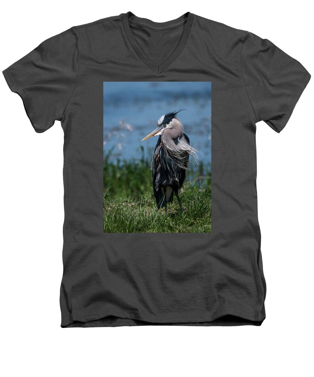 Animals Men's V-Neck T-Shirt featuring the photograph Shaggy Mane by Robert Potts