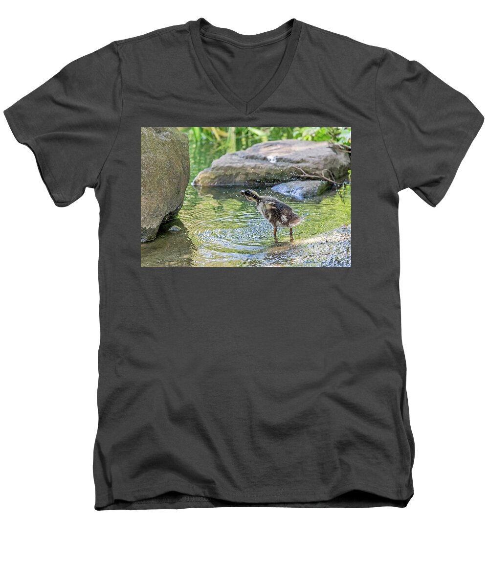 Mallard Men's V-Neck T-Shirt featuring the photograph Shake It Off by Kate Brown