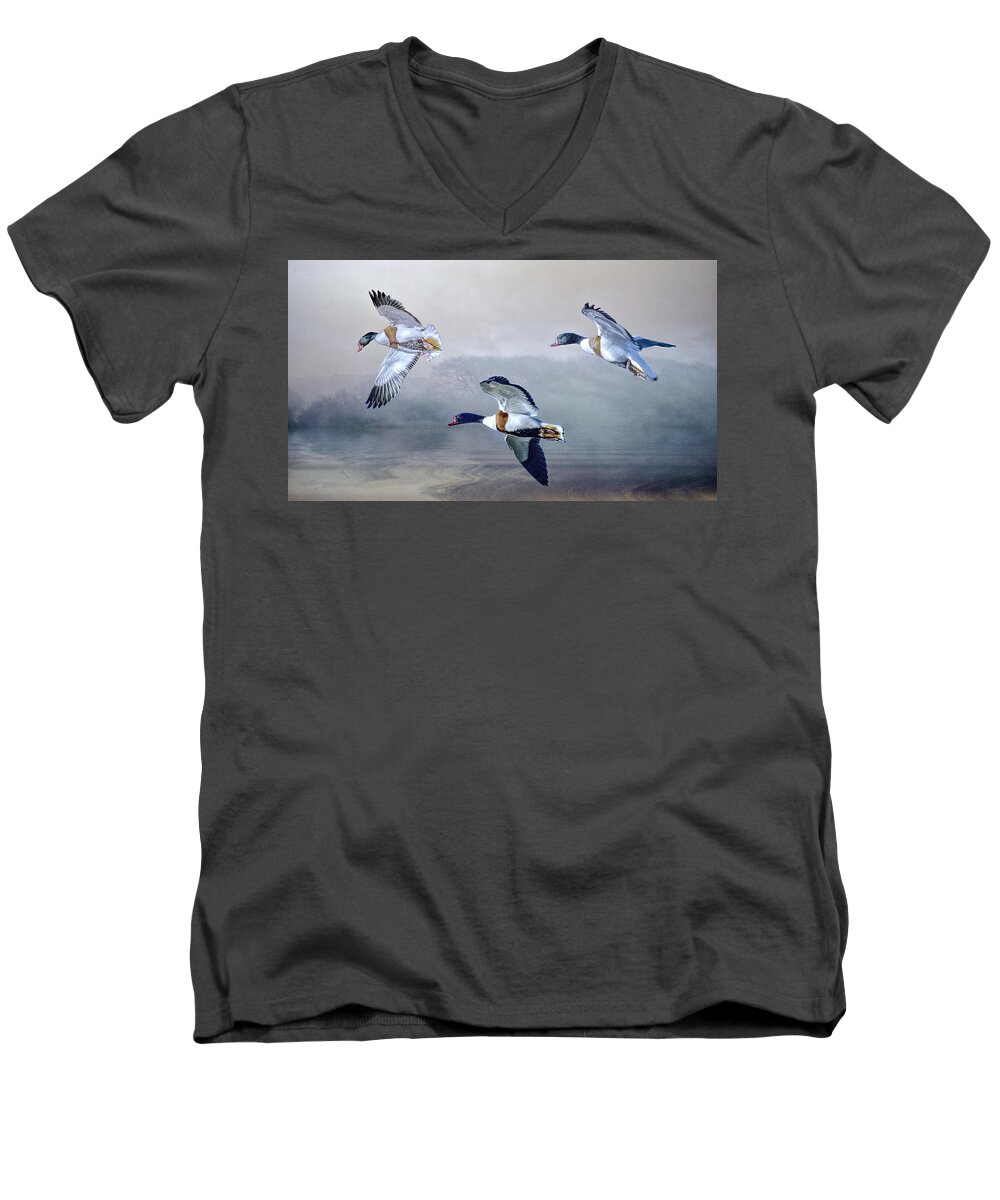 Shelduck Men's V-Neck T-Shirt featuring the photograph Shelduck Morning. by Brian Tarr