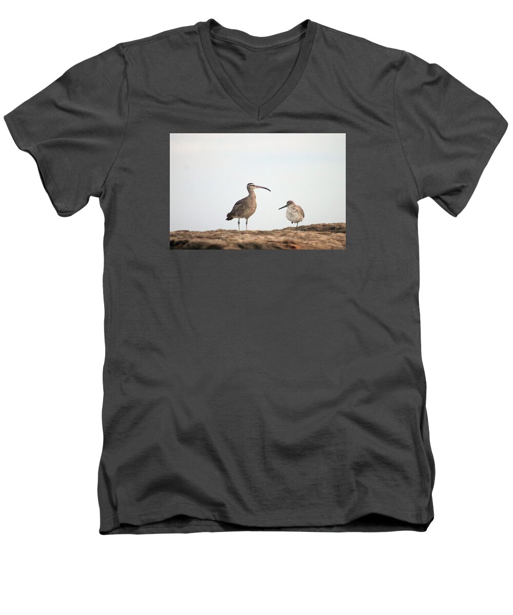 Shorebirds Men's V-Neck T-Shirt featuring the photograph Shorebirds of Windansea Beach by Bruce Patrick Smith