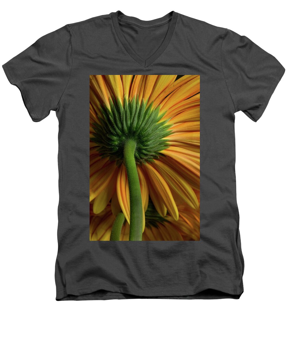 Flower Men's V-Neck T-Shirt featuring the photograph Shy Daisies by Bob Cournoyer