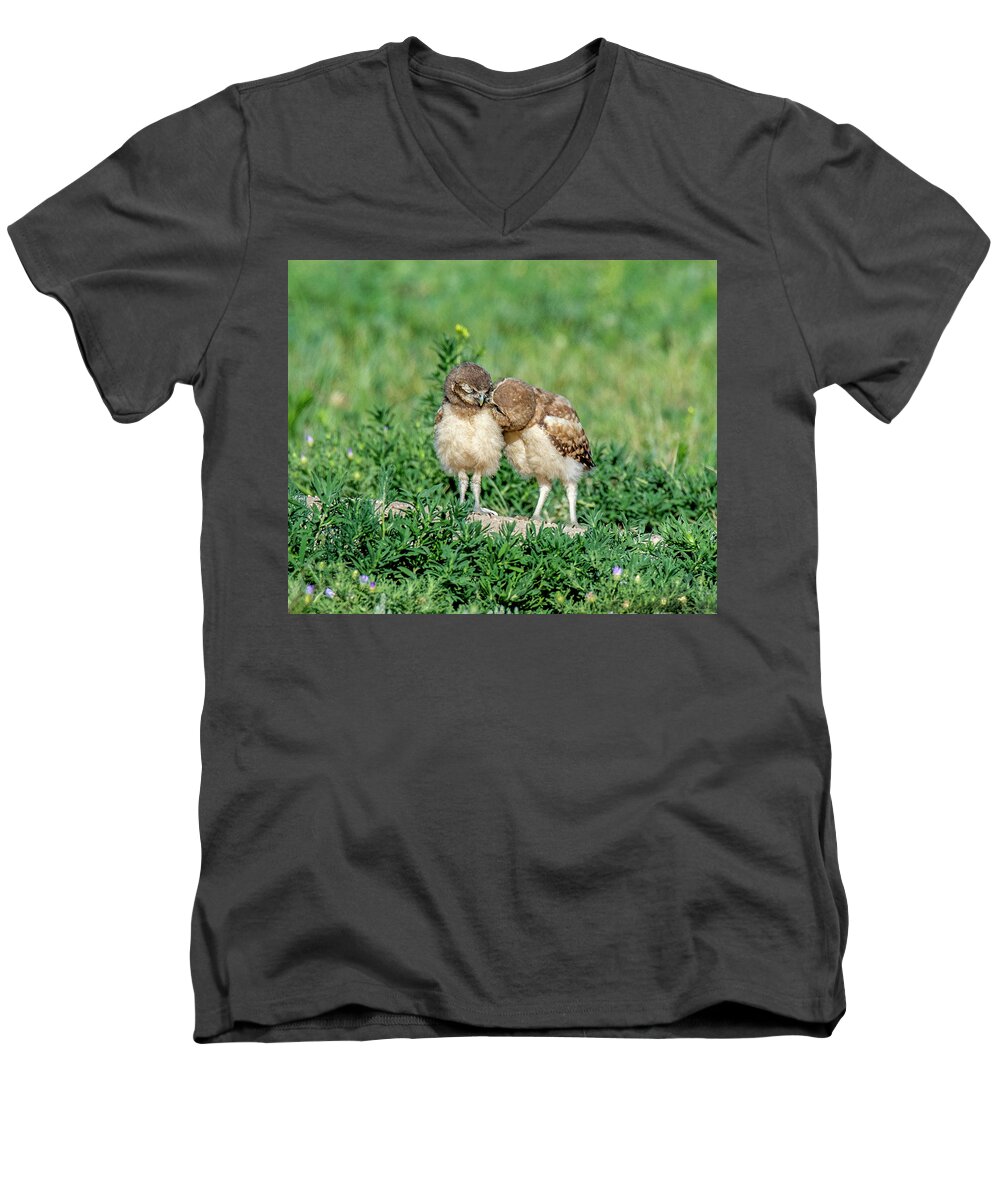 Burrowing Owls Men's V-Neck T-Shirt featuring the photograph Sibling love by Judi Dressler