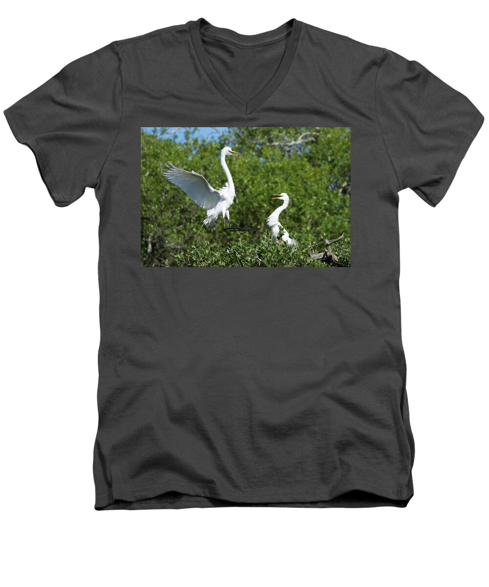 Egret Men's V-Neck T-Shirt featuring the photograph Sibling Rivalry by Eilish Palmer
