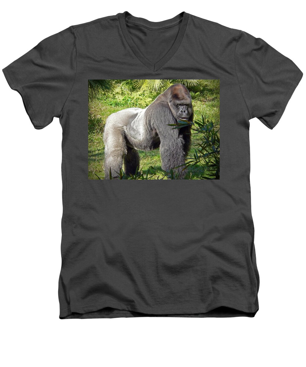 Silverback Men's V-Neck T-Shirt featuring the photograph Silverback by Steven Sparks