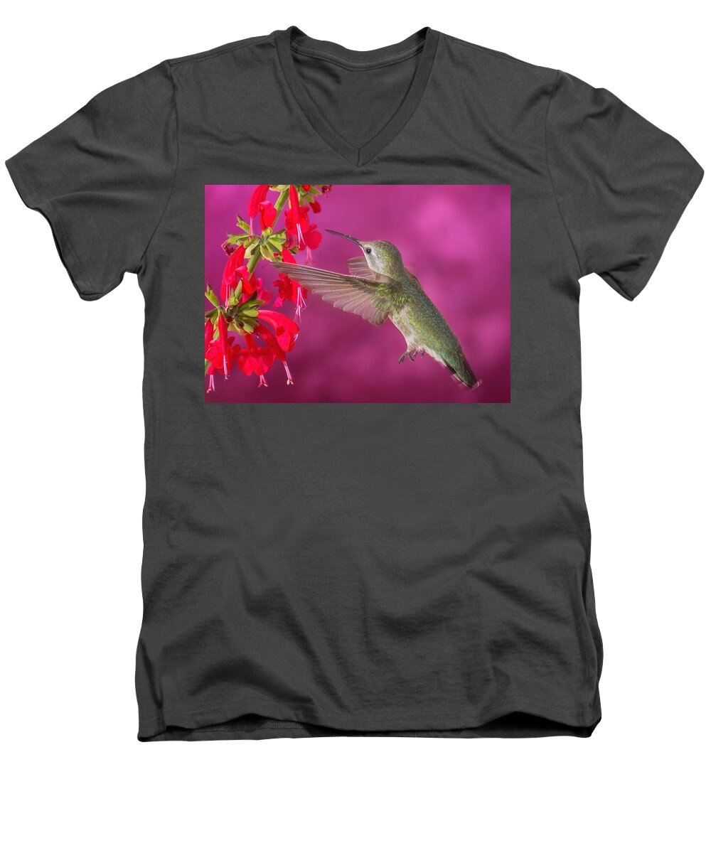 Arizona Men's V-Neck T-Shirt featuring the photograph Sipping at the Salvia by James Capo