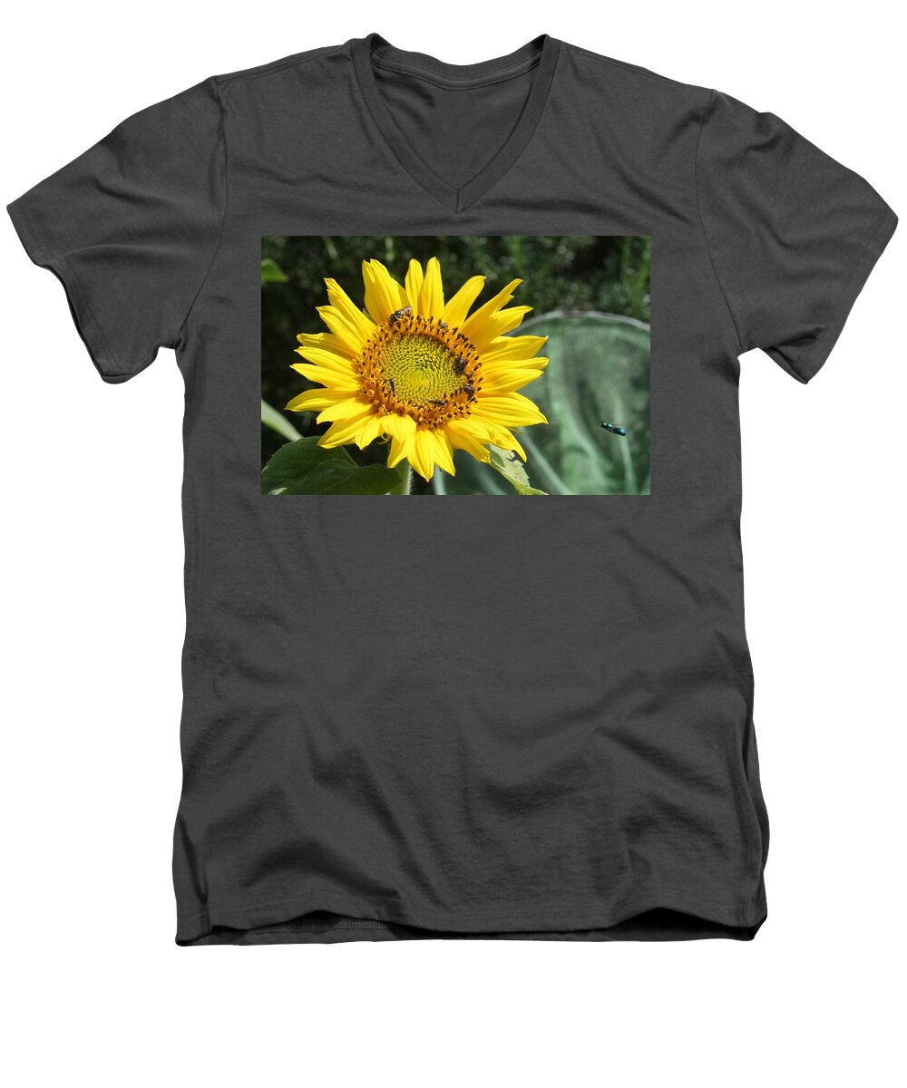 Sunflower Men's V-Neck T-Shirt featuring the photograph Skipping Spring by Ismael Cavazos