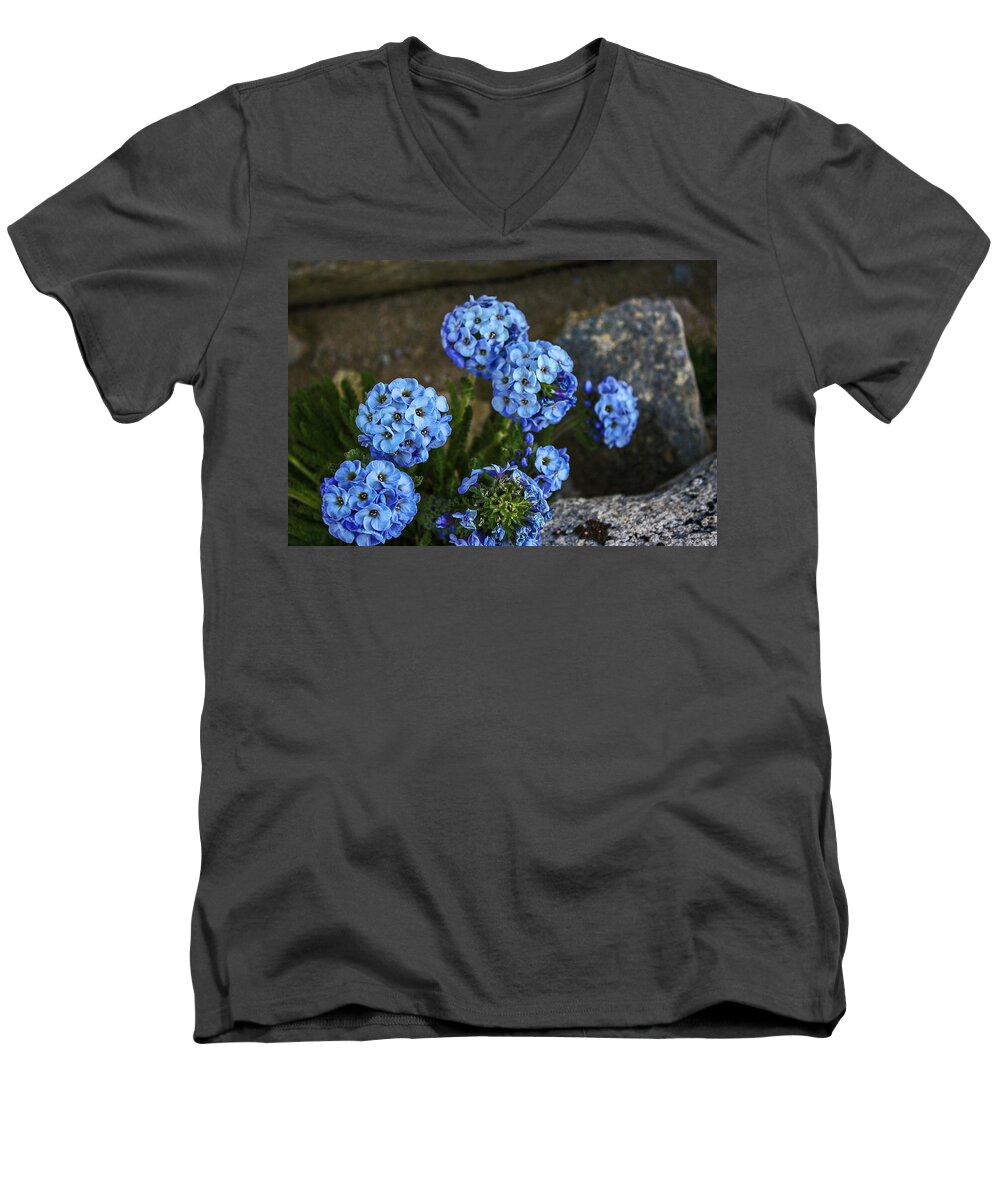 Mountain Flora Men's V-Neck T-Shirt featuring the photograph Sky Pilot, How High Can You Fly by Doug Scrima