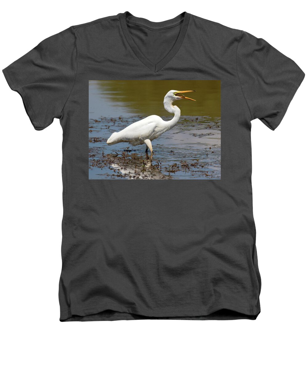 Great White Egret Men's V-Neck T-Shirt featuring the photograph Small Fry Toss by Art Cole
