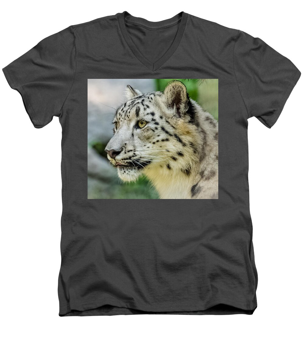 Snow Leopard Men's V-Neck T-Shirt featuring the photograph Snow Leopard Portrait by Yeates Photography