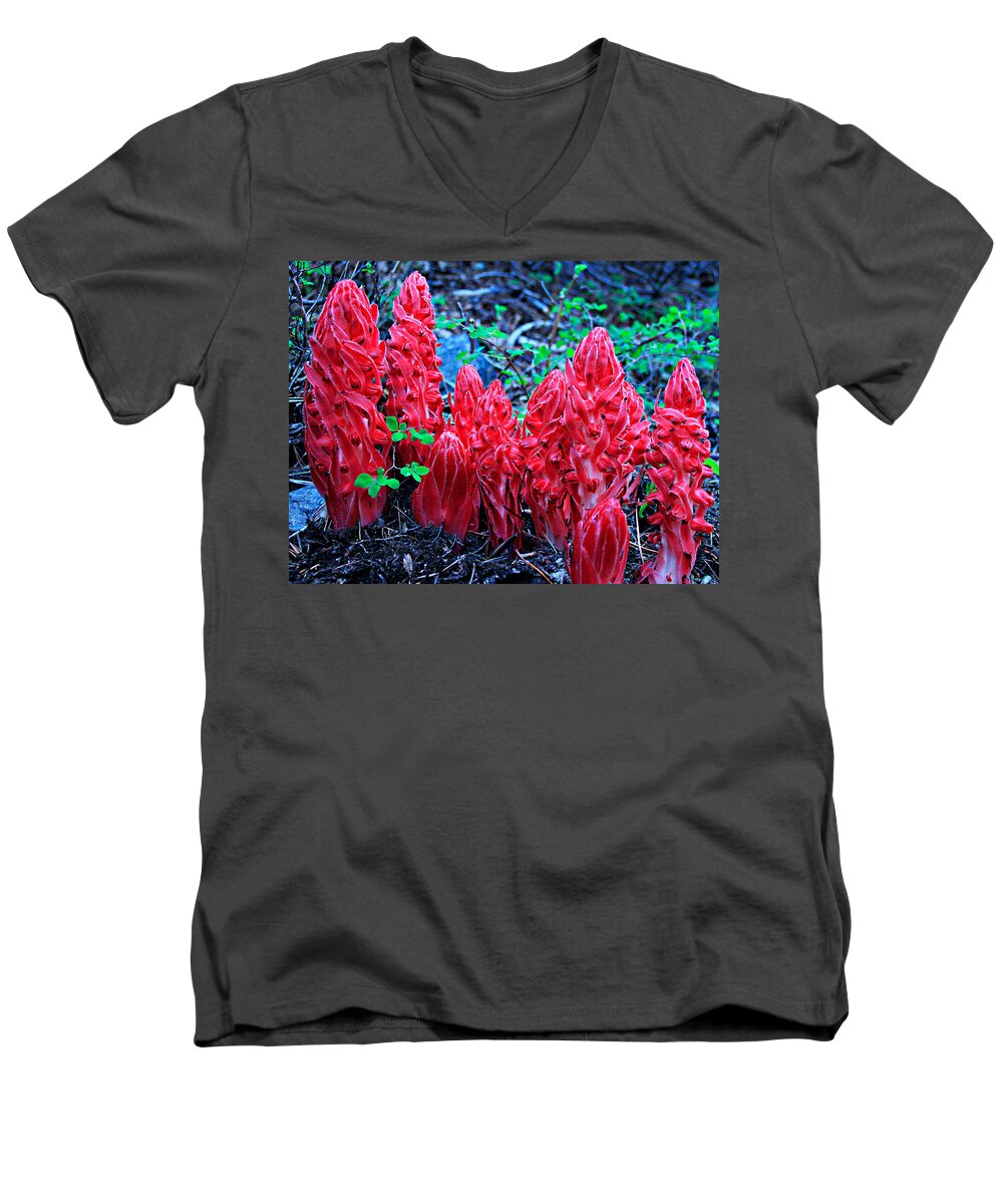 Lake Tahoe Men's V-Neck T-Shirt featuring the photograph Snowflower Pow Wow by Sean Sarsfield