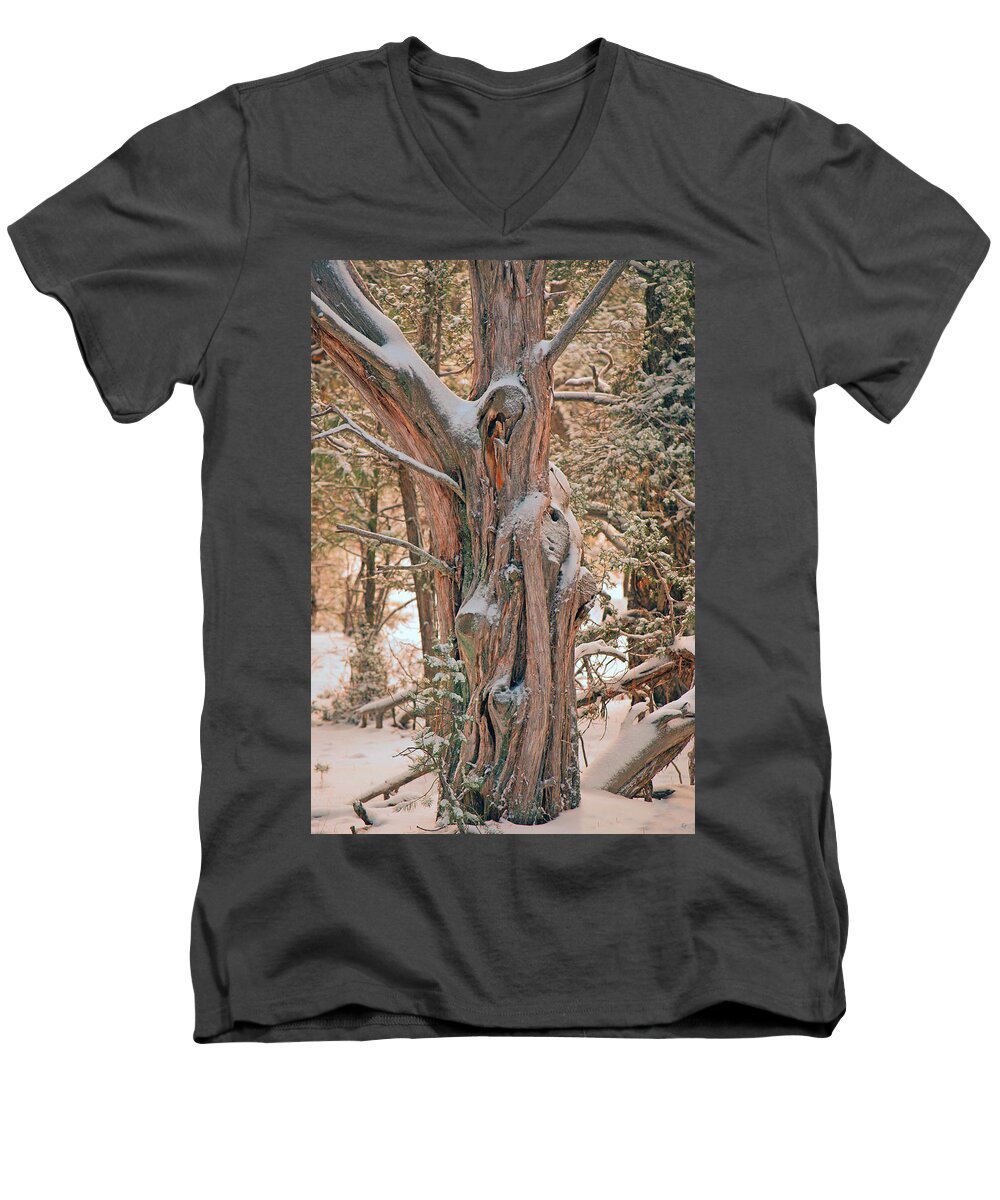 Fine Art Men's V-Neck T-Shirt featuring the photograph Snowy Dead Tree by Donna Greene