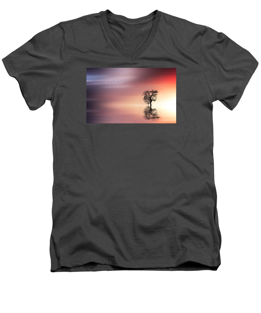 Amazing Men's V-Neck T-Shirt featuring the photograph Solitude by Bess Hamiti