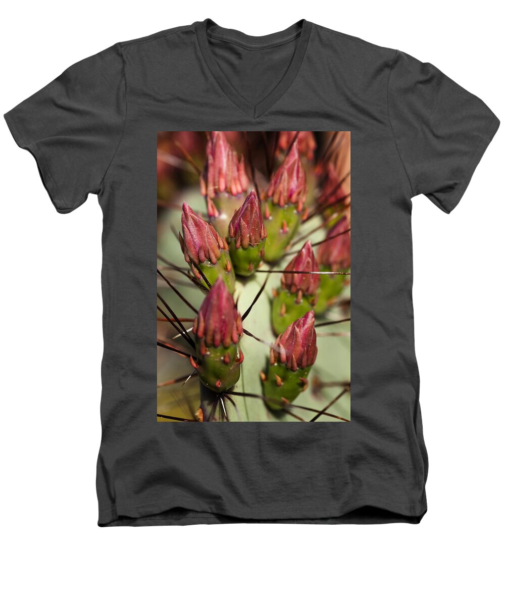 Prickly Pear Men's V-Neck T-Shirt featuring the photograph Soon to Bloom by Kelley King