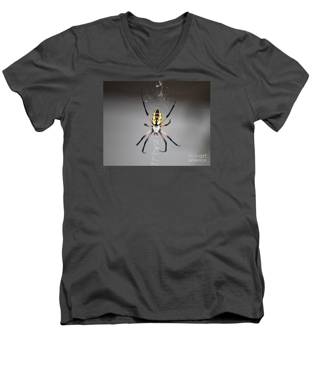 Spider Men's V-Neck T-Shirt featuring the photograph Spider by Kathryn Cornett