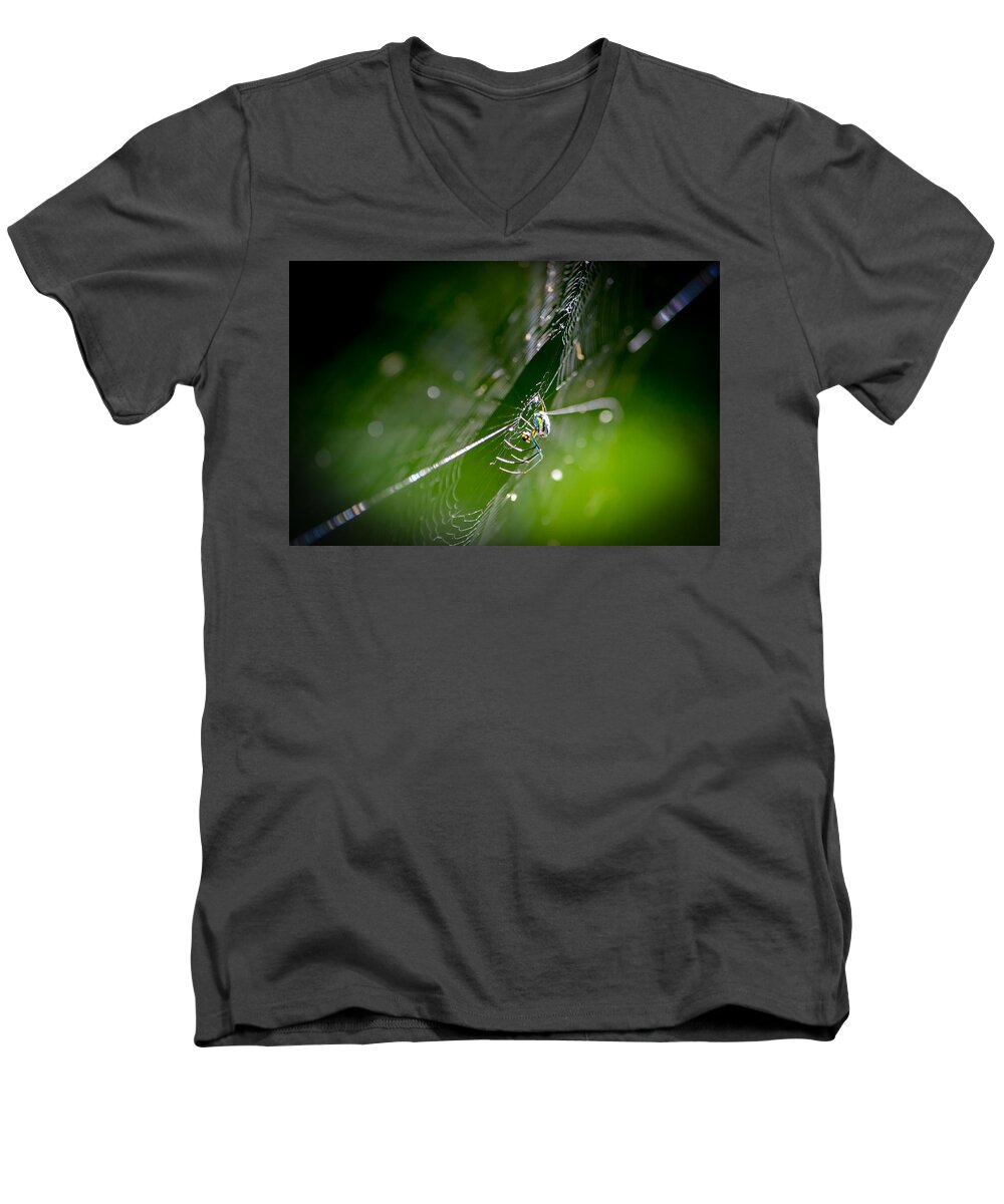 Orlando Men's V-Neck T-Shirt featuring the photograph Spider by Craig Szymanski