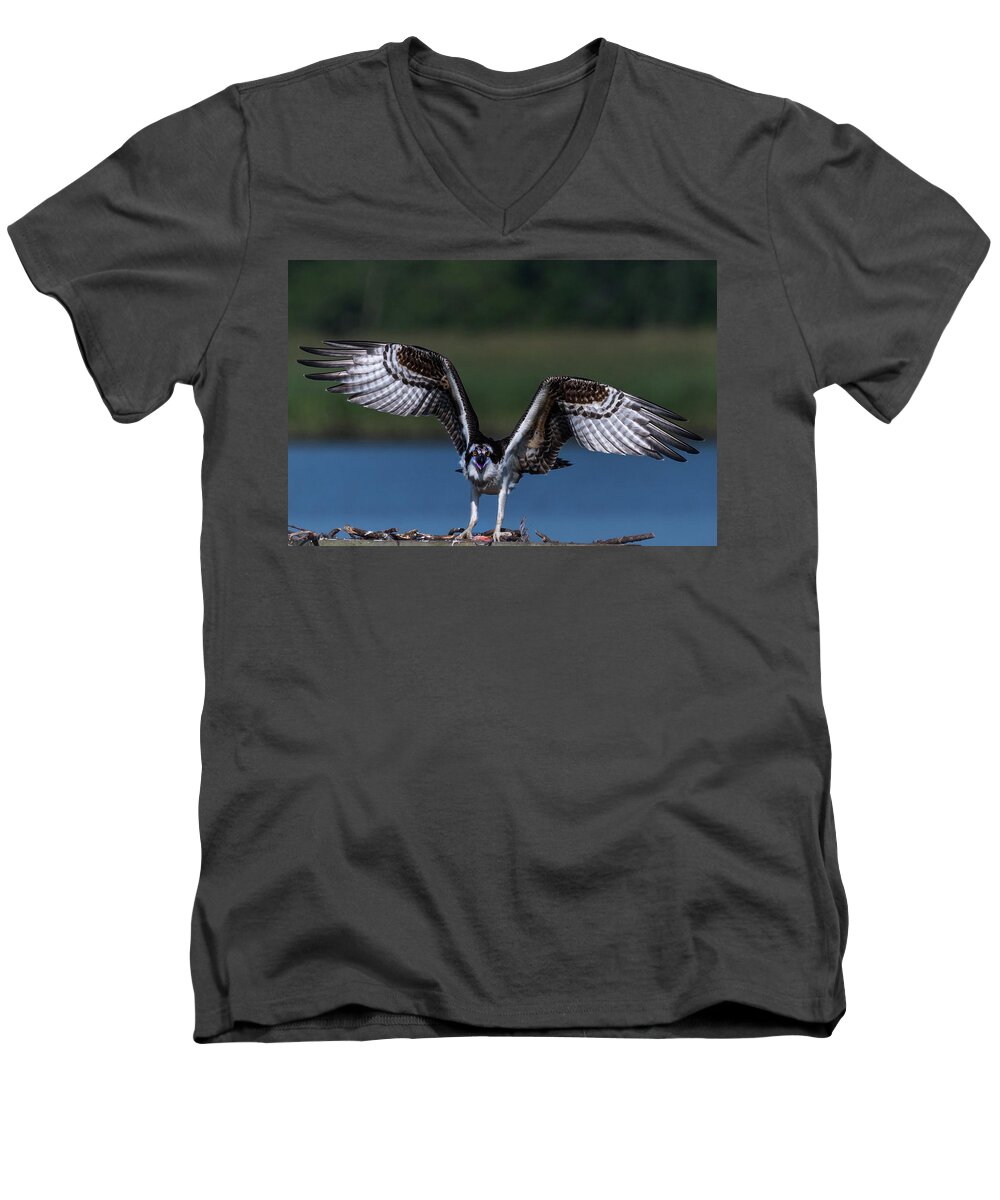 Photograph Men's V-Neck T-Shirt featuring the photograph Spread Your Wings by Cindy Lark Hartman