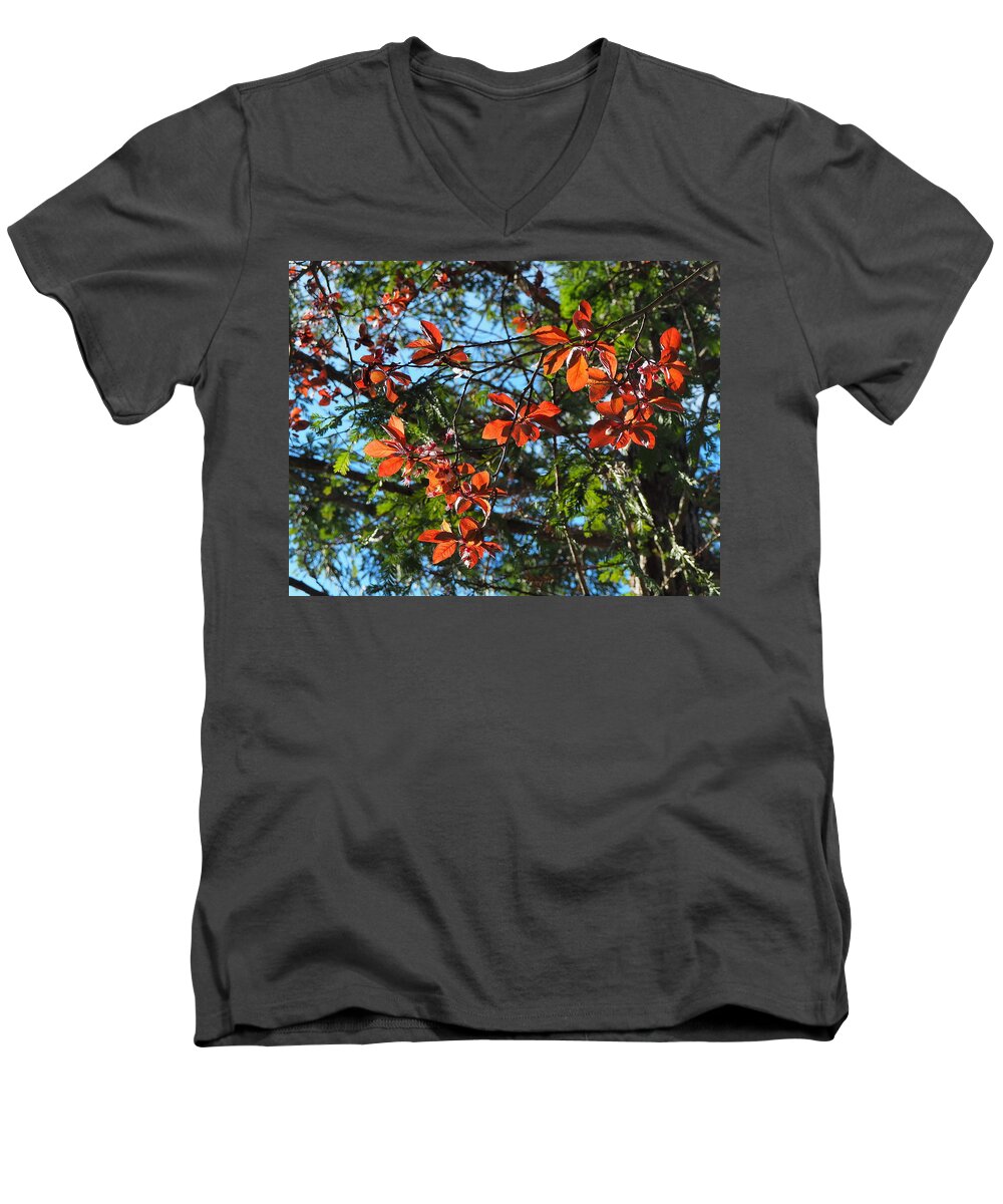 Botanical Men's V-Neck T-Shirt featuring the photograph Spring Backlight by Richard Thomas