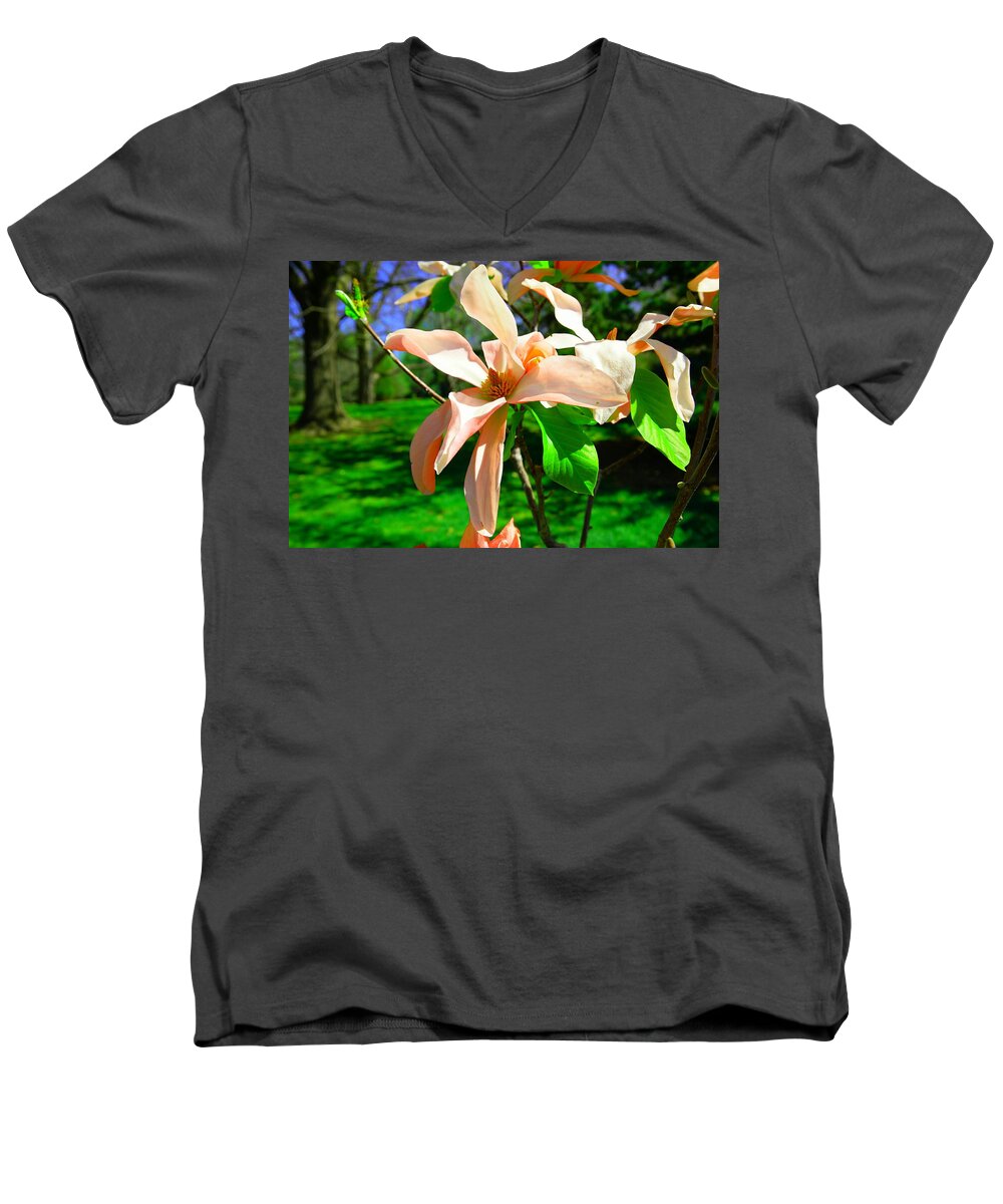 Flower Men's V-Neck T-Shirt featuring the photograph Spring Blossom open wide by Jeff Swan