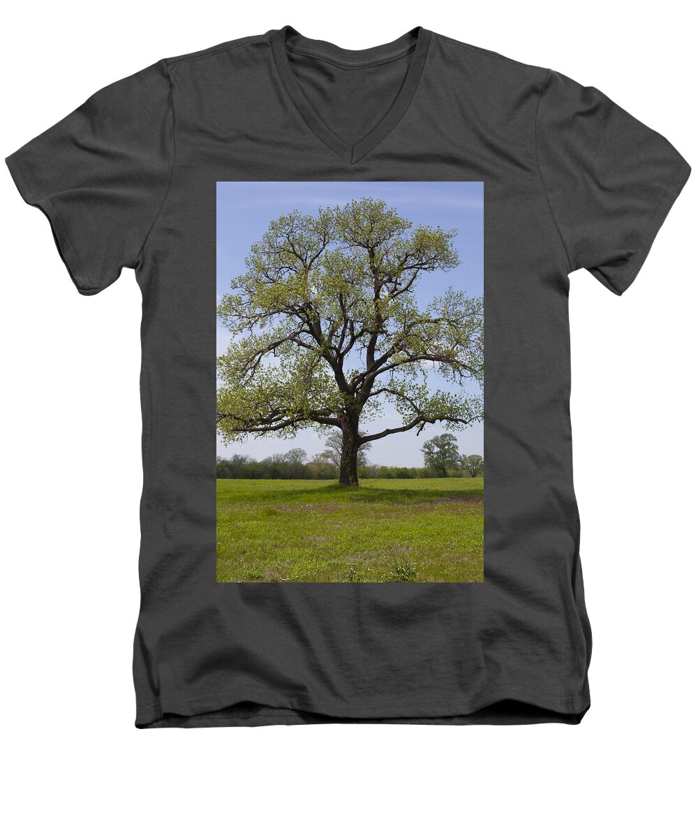 Trammell Crow Park Men's V-Neck T-Shirt featuring the photograph Spring Emerges by Greg Kopriva