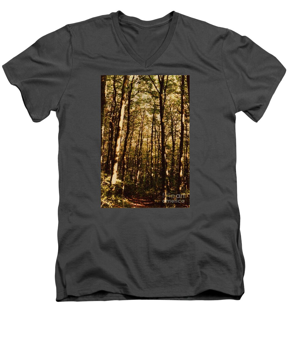 Background Men's V-Neck T-Shirt featuring the photograph Spring Forest by Jean Bernard Roussilhe