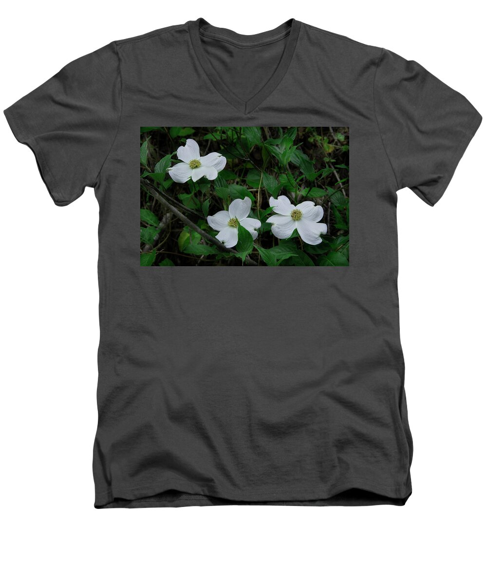 Dogwood Men's V-Neck T-Shirt featuring the photograph Spring Time Dogwood by Mike Eingle