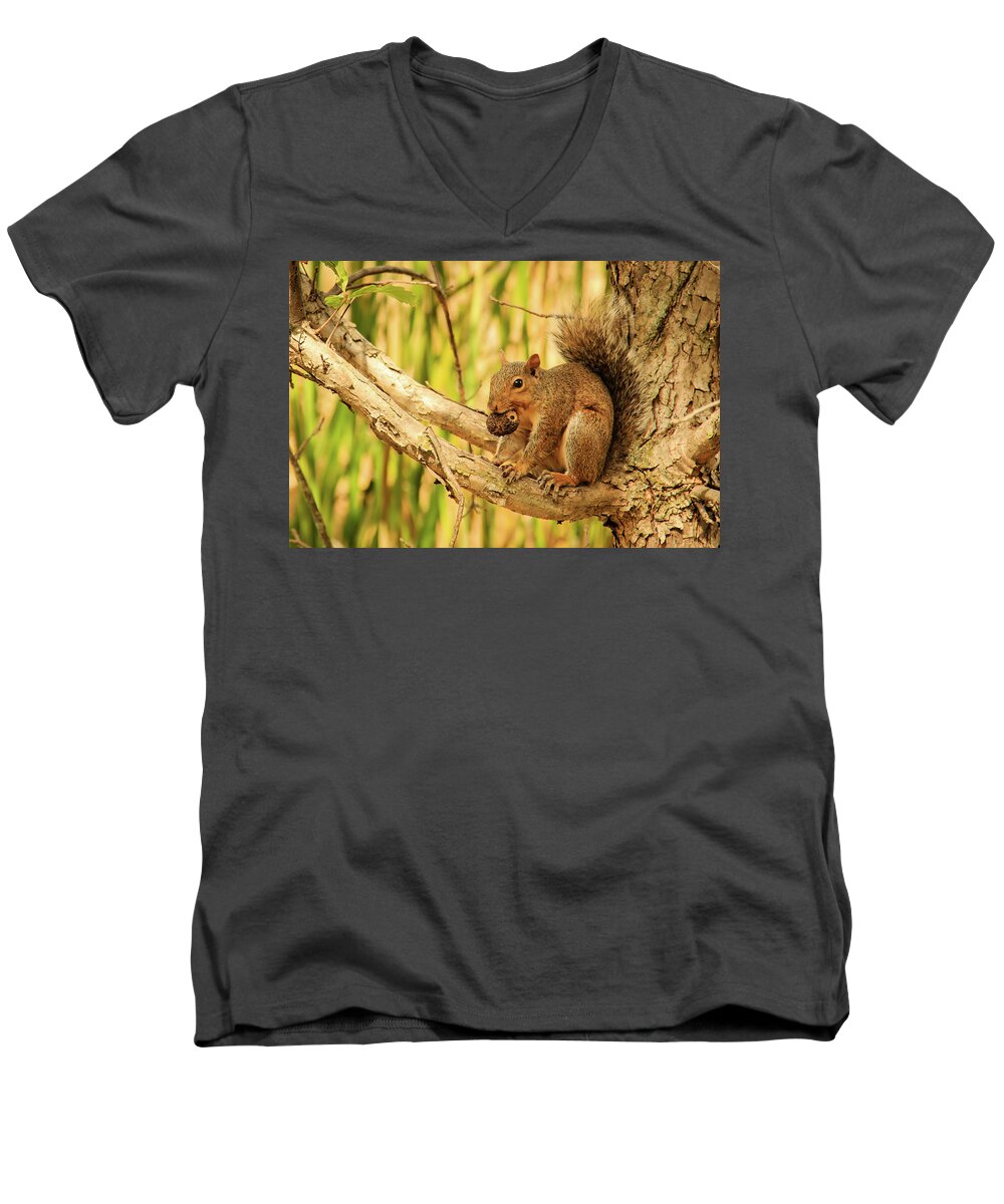 Animal Men's V-Neck T-Shirt featuring the photograph Squirrel in a Tree in the Marsh by Joni Eskridge