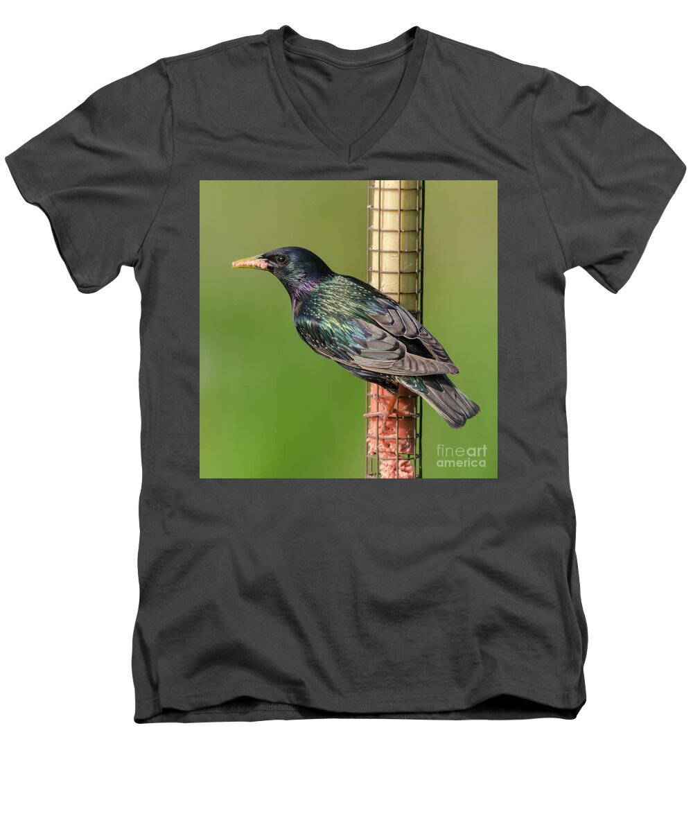 Starling Men's V-Neck T-Shirt featuring the photograph Starling on feeder by Steev Stamford