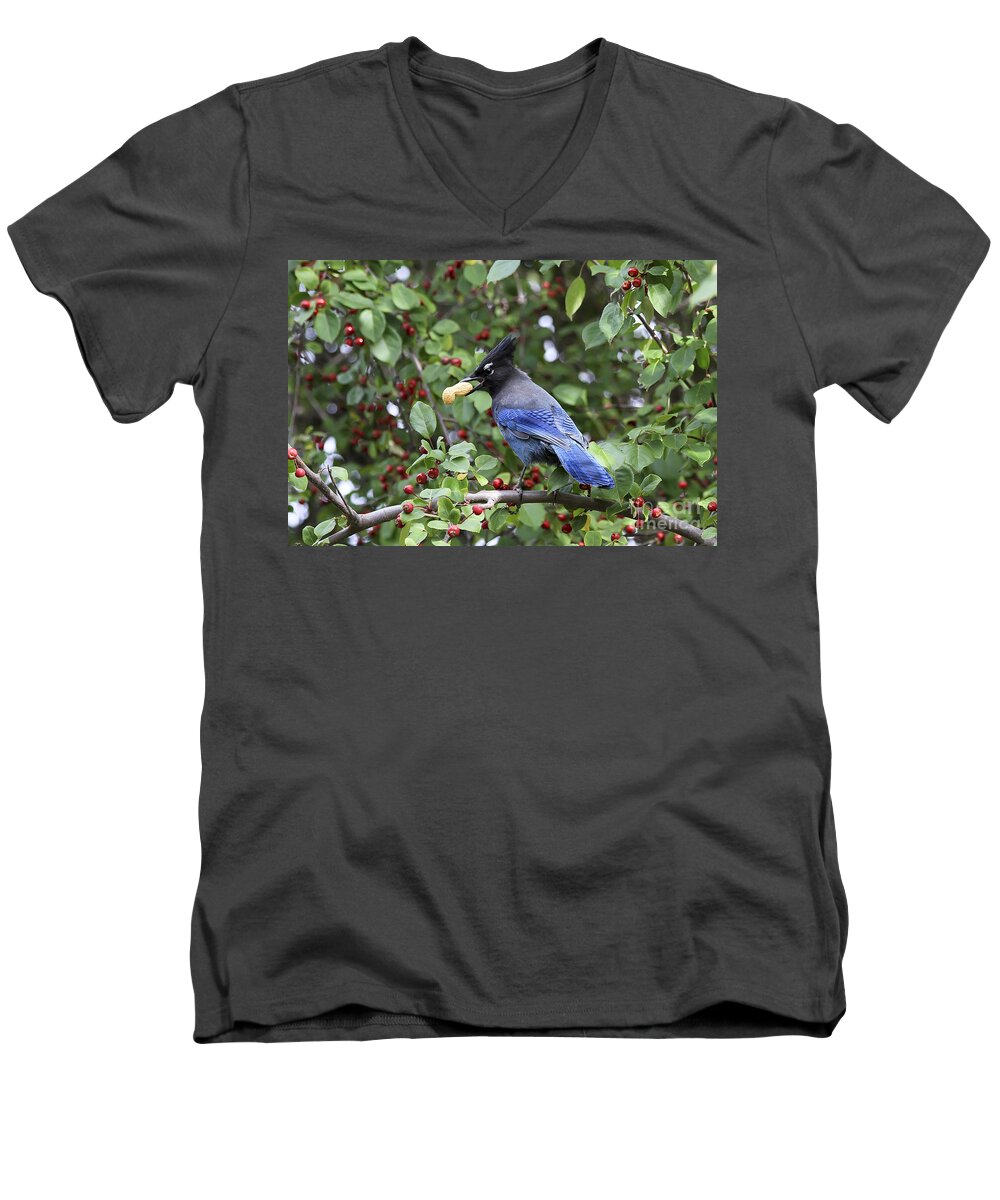 Bird Men's V-Neck T-Shirt featuring the photograph Steller's Jay by Teresa Zieba
