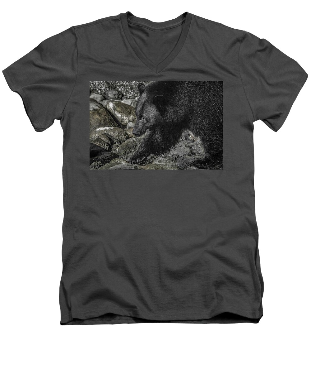 Black Bear Men's V-Neck T-Shirt featuring the photograph Stepping into the Creek Black Bear by Roxy Hurtubise