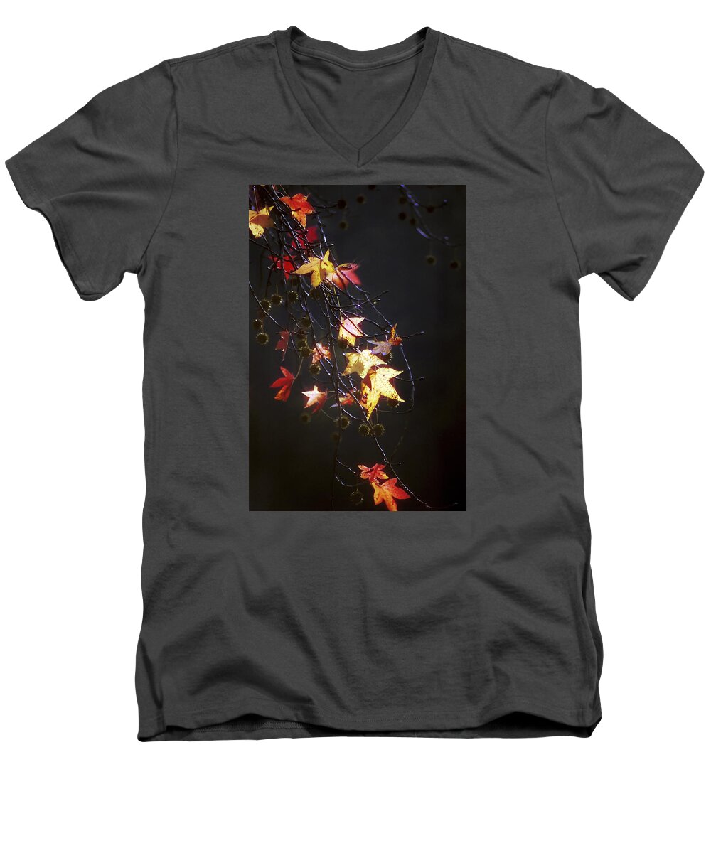 Storm's Bliss Men's V-Neck T-Shirt featuring the photograph Storms Bliss by Jill Love