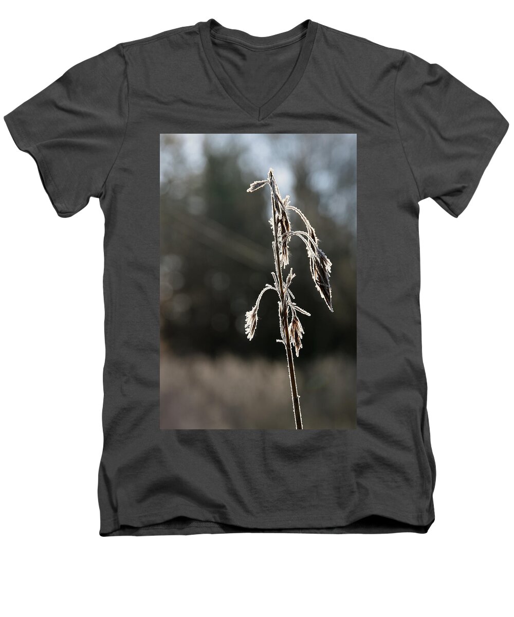 Sweden Men's V-Neck T-Shirt featuring the pyrography Straw in backlight by Magnus Haellquist