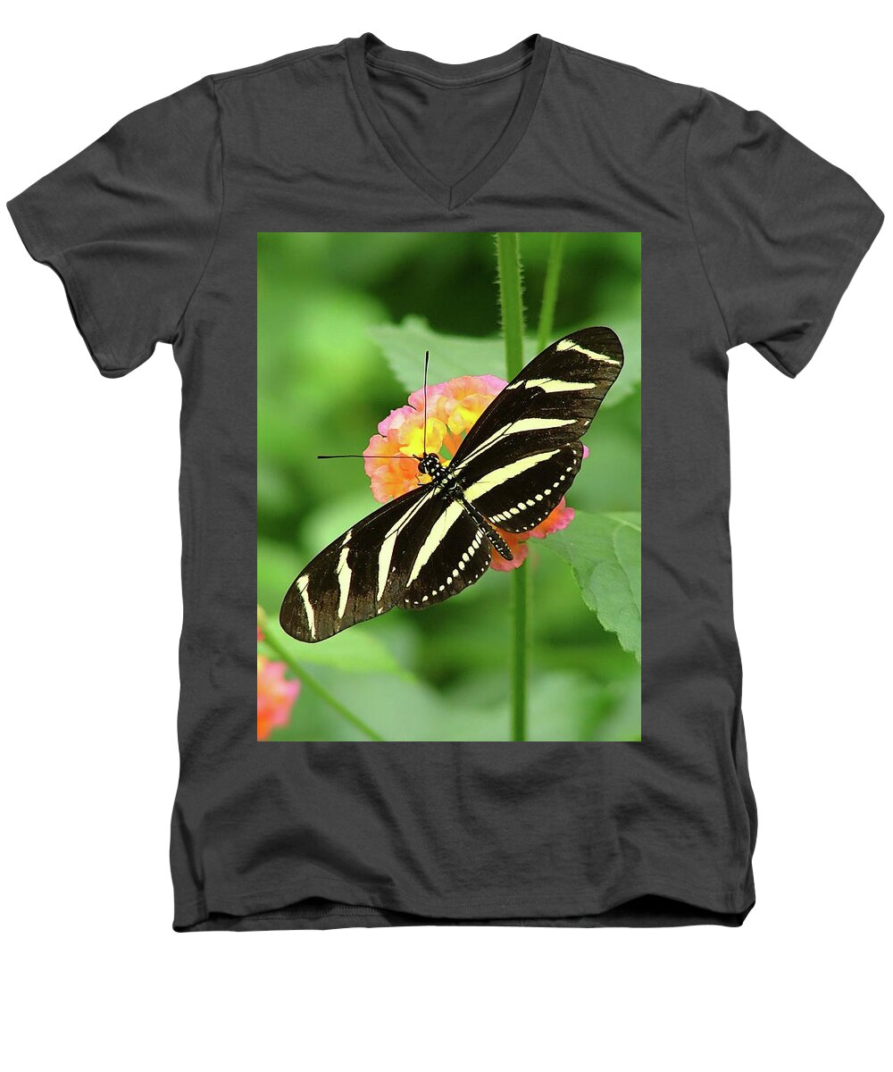 Butterflies Men's V-Neck T-Shirt featuring the photograph Striped Butterfly by Wendy McKennon