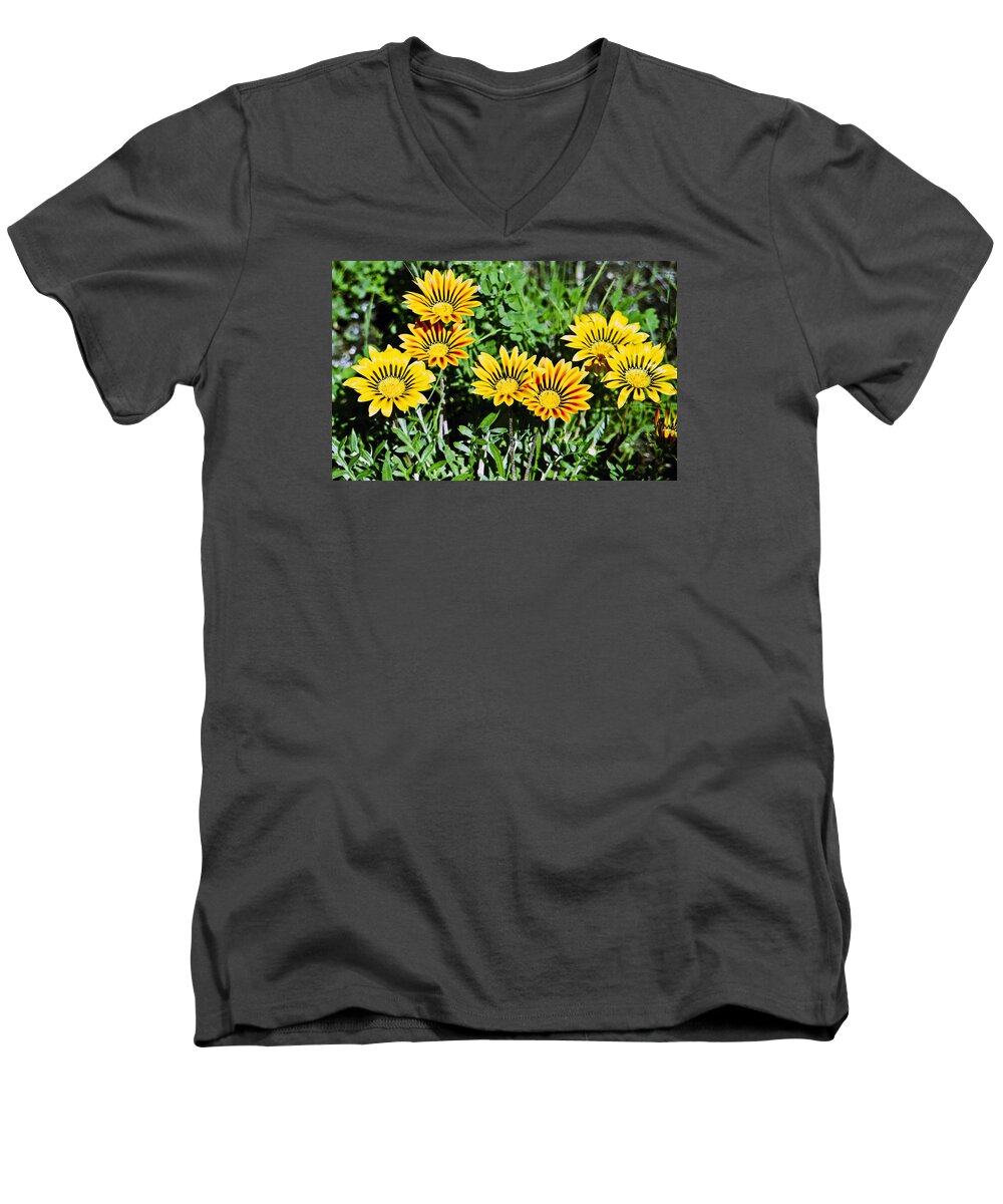 Stripped Men's V-Neck T-Shirt featuring the photograph Striped Daisies--Film Image by Matthew Bamberg