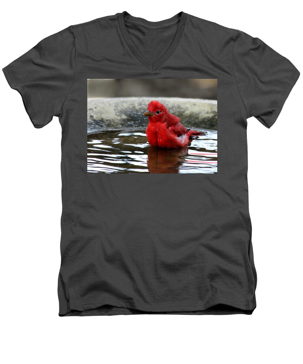 Nature Men's V-Neck T-Shirt featuring the photograph Summer Tanager in Bird Bath by Sheila Brown