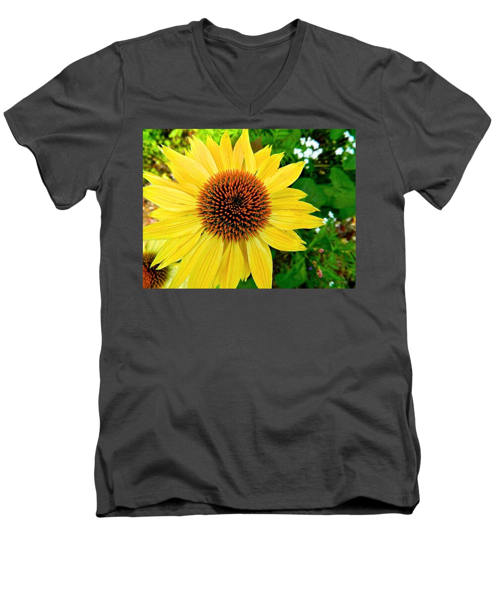 Flowers Men's V-Neck T-Shirt featuring the photograph Sun Soaked Echinacea by Randy Rosenberger
