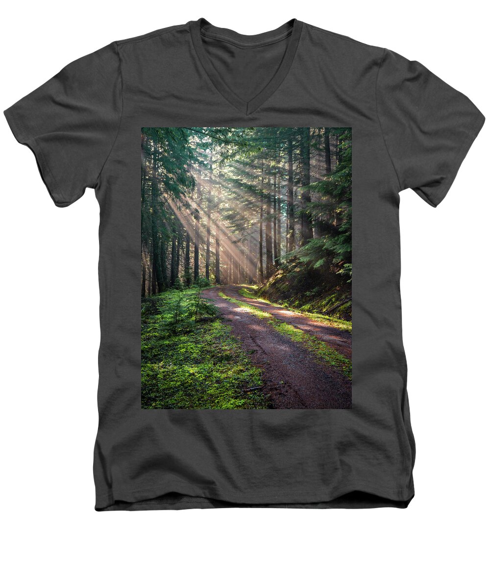 Landscape Men's V-Neck T-Shirt featuring the photograph Sunbeam in Trees portrait by Jason Brooks