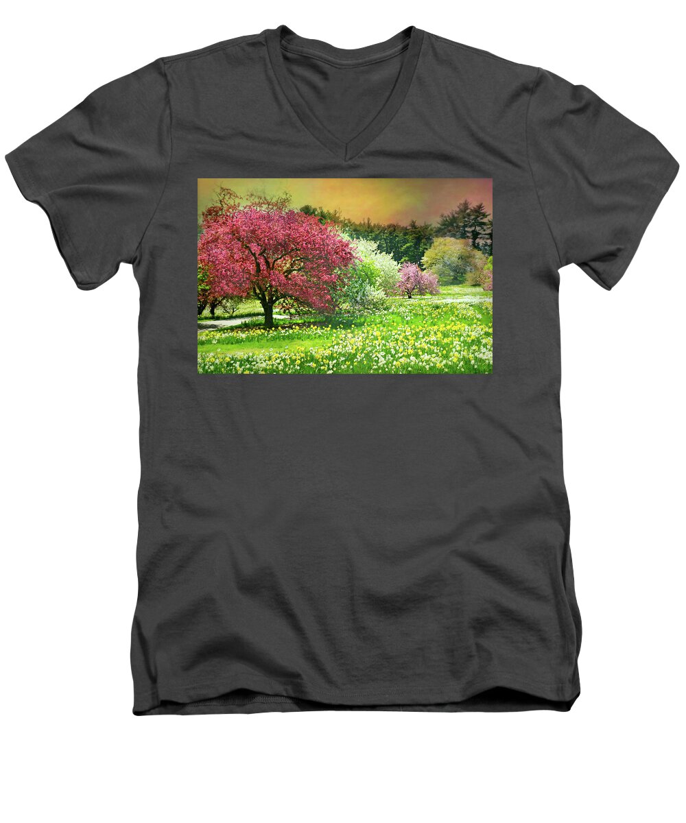 Nybg Men's V-Neck T-Shirt featuring the photograph Sunday My Day by Diana Angstadt