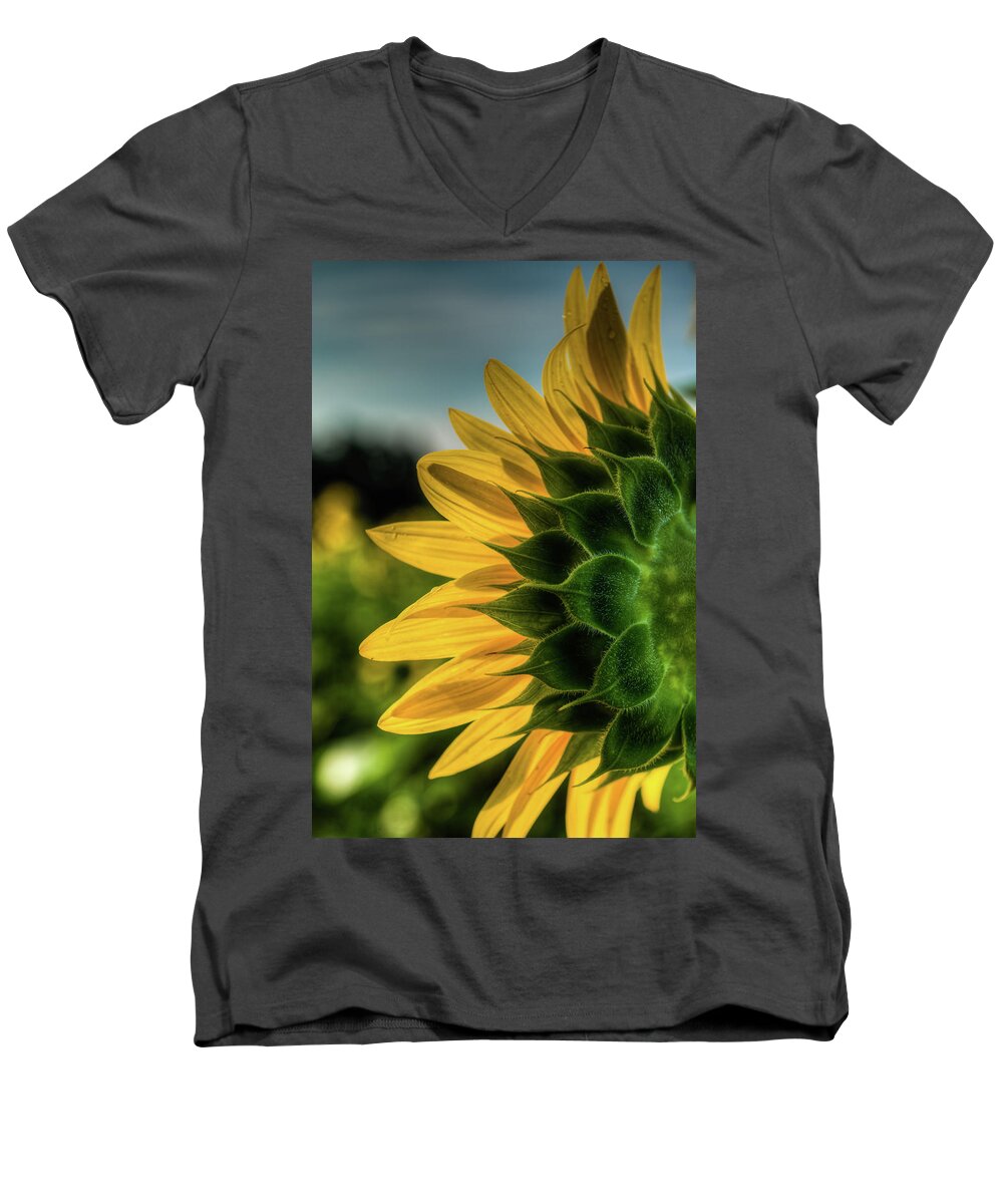 Bloom Men's V-Neck T-Shirt featuring the photograph Sunflower Blooming Detailed by Dennis Dame