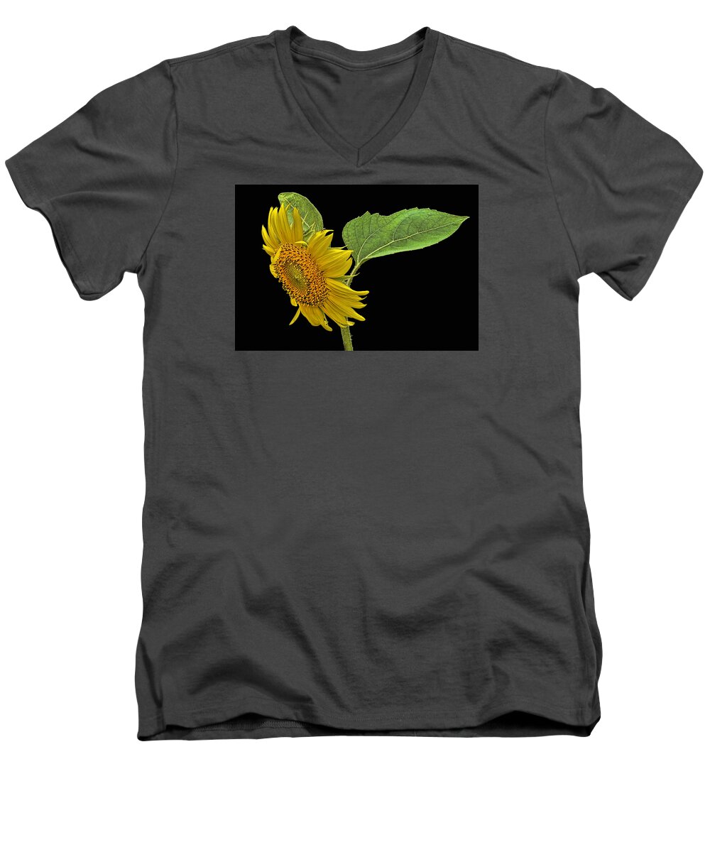 Sunflower Men's V-Neck T-Shirt featuring the photograph Sunflower by Don Durfee