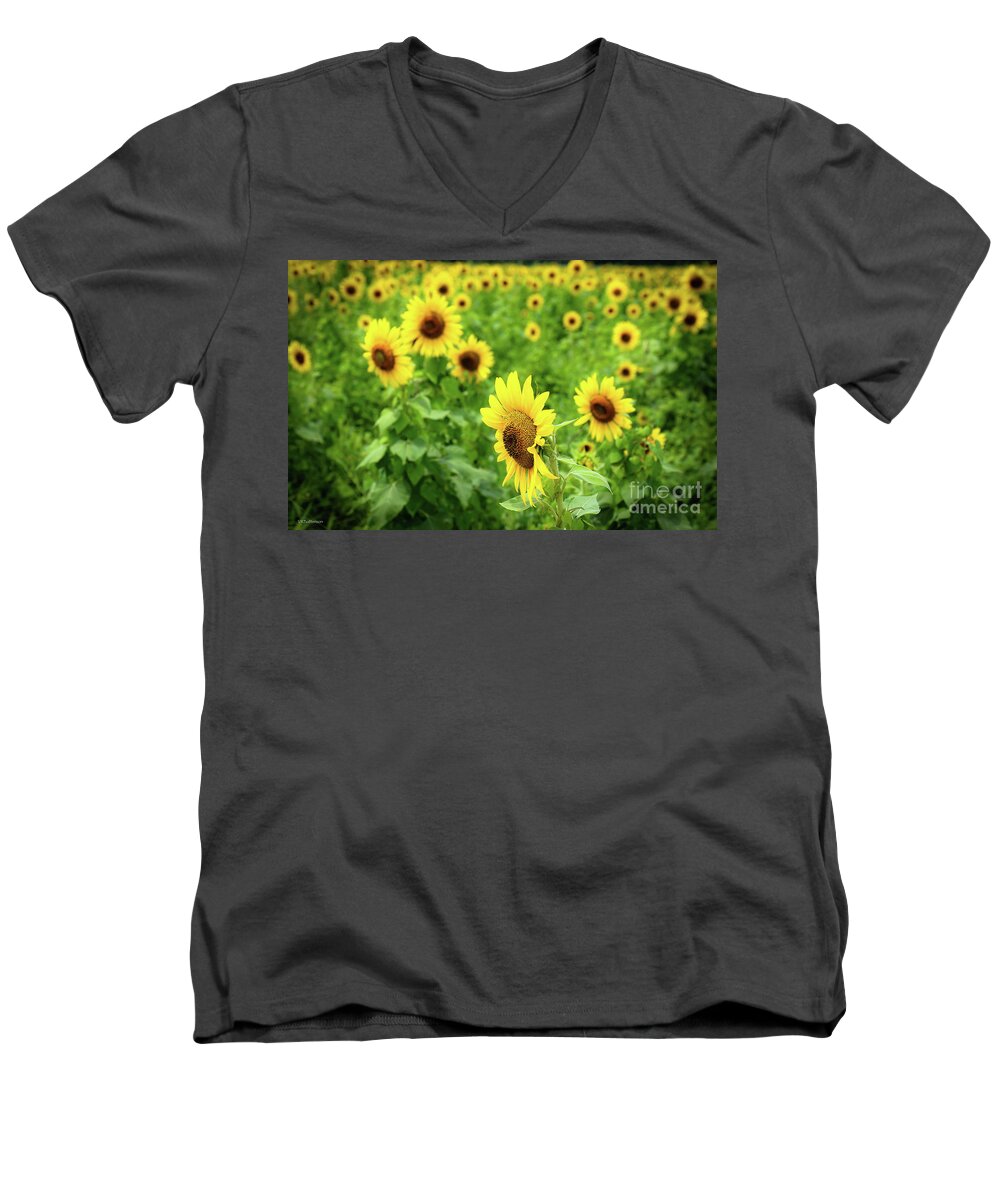Sunflowers Men's V-Neck T-Shirt featuring the photograph Sunflowers in Memphis IV by Veronica Batterson