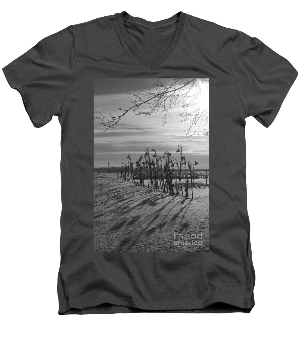 Sunflower Men's V-Neck T-Shirt featuring the photograph Sunflowers in the Winter Sun by Mary Mikawoz