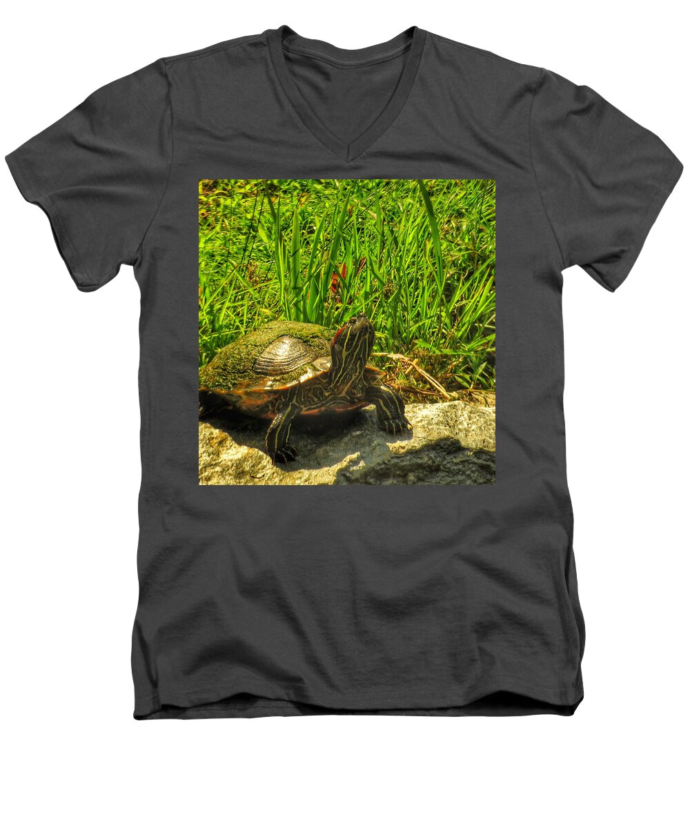 Bees Men's V-Neck T-Shirt featuring the photograph Sunning by Kathi Isserman